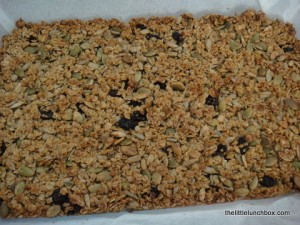 Currant and Seed Slice